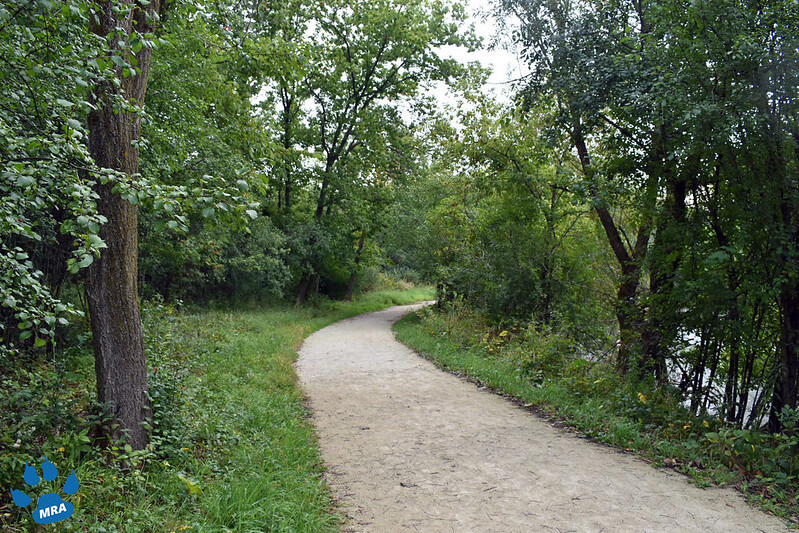 Fullersburg Woods