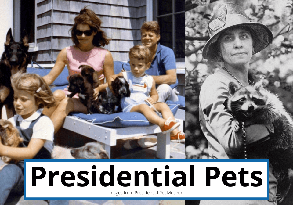 Presidential Pets