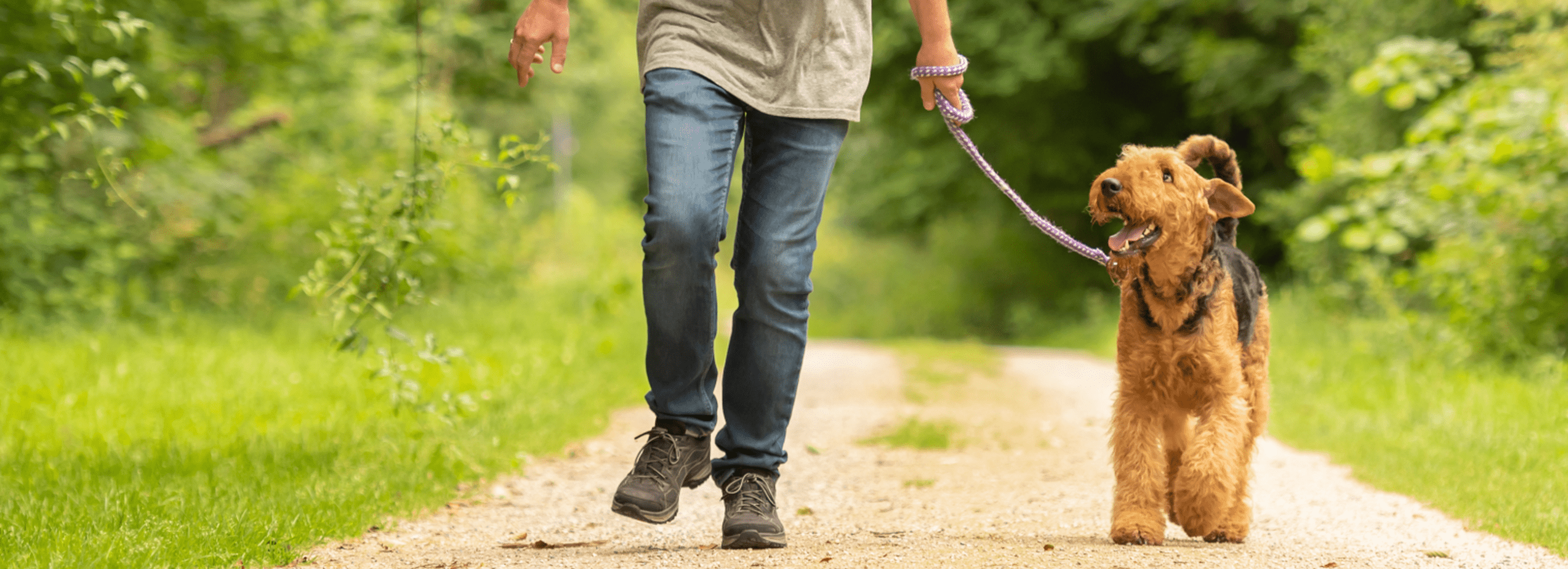 Join Lombard Vet's Run/Walk Club