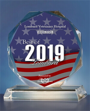 Lombard Veterinary Hospital Receives 2019 Best of Award