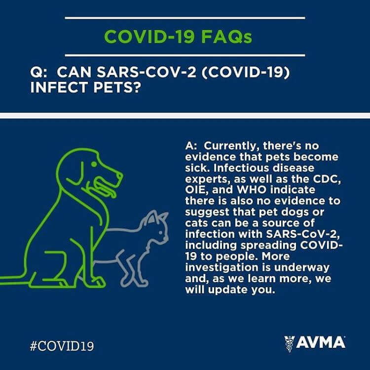 COVID-19 and Pets 
