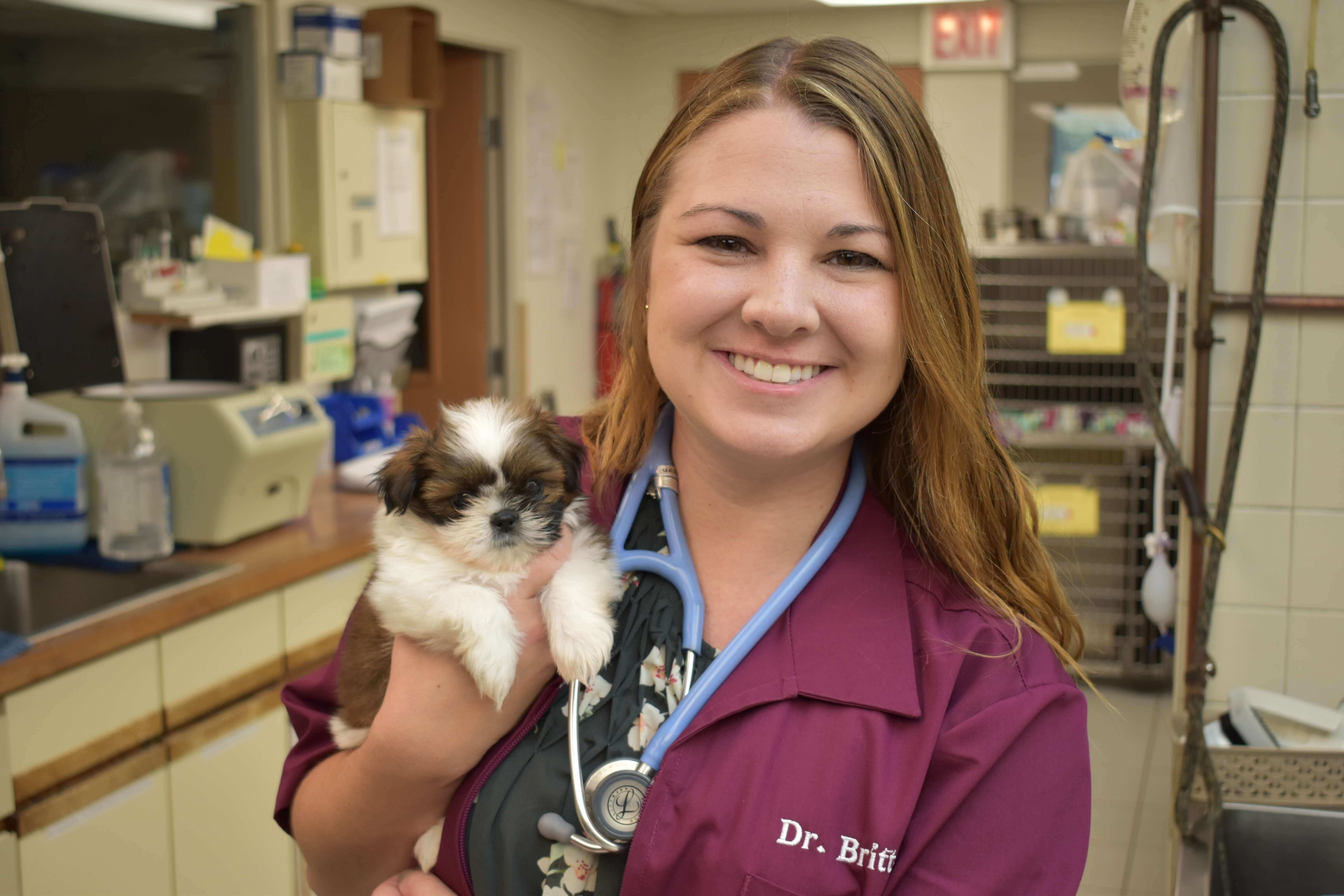 Doctor with a puppy
