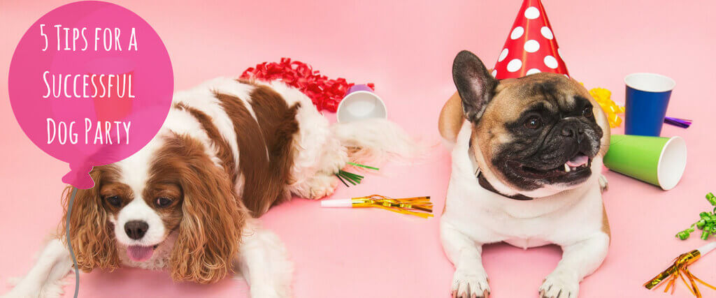 Hosting a Dog Party: Top 5 Tips for Success