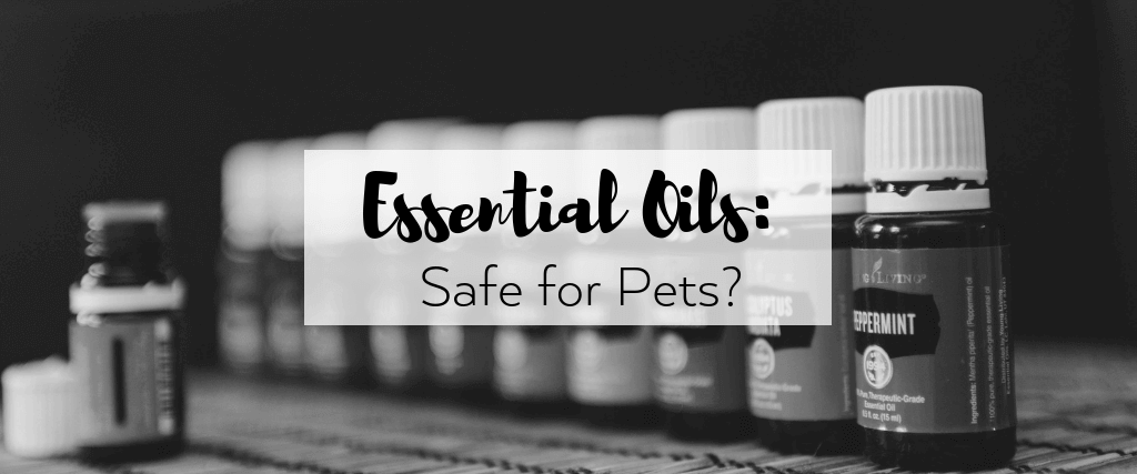 Are Essential Oils Safe for Pets?