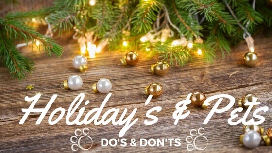 Holidays & Your Pets: Dos & Don'ts