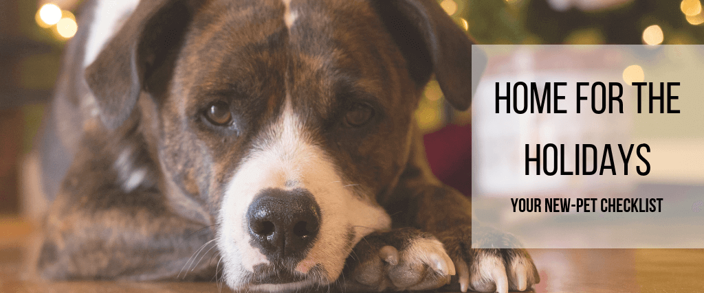 Home for the Holidays: Your New-Pet Checklist