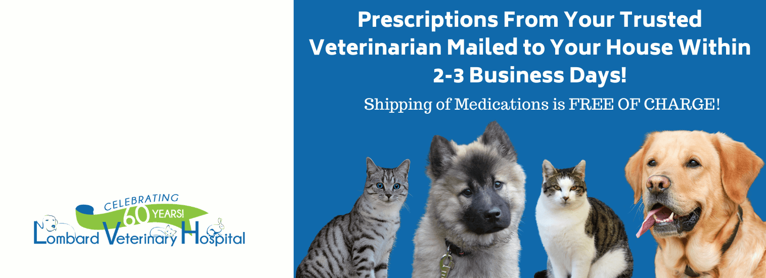 cheap vet prescriptions