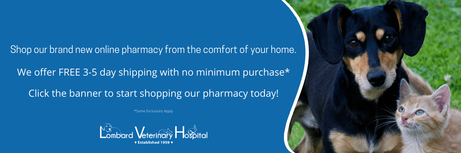 Brand new online pharmacy