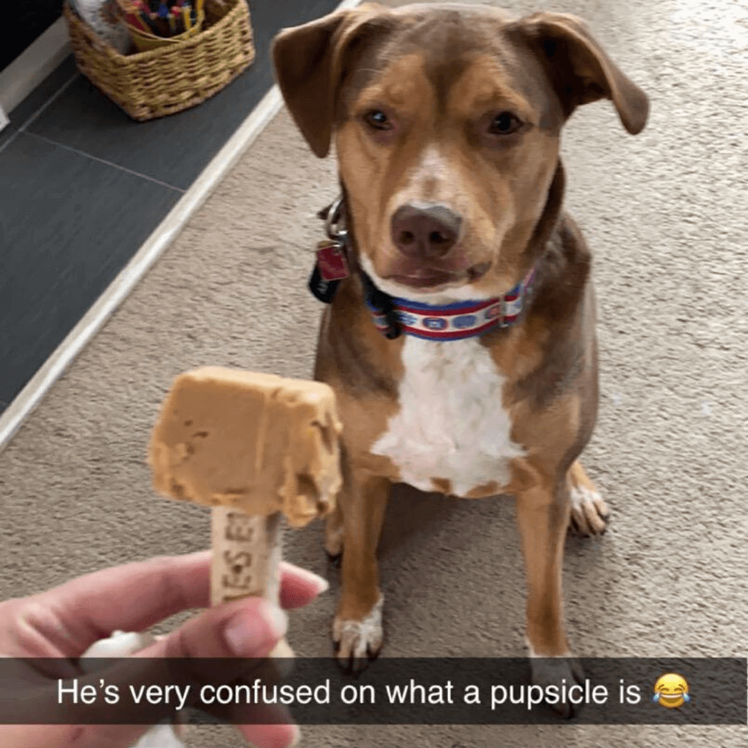 Wrigley and his pupsicle