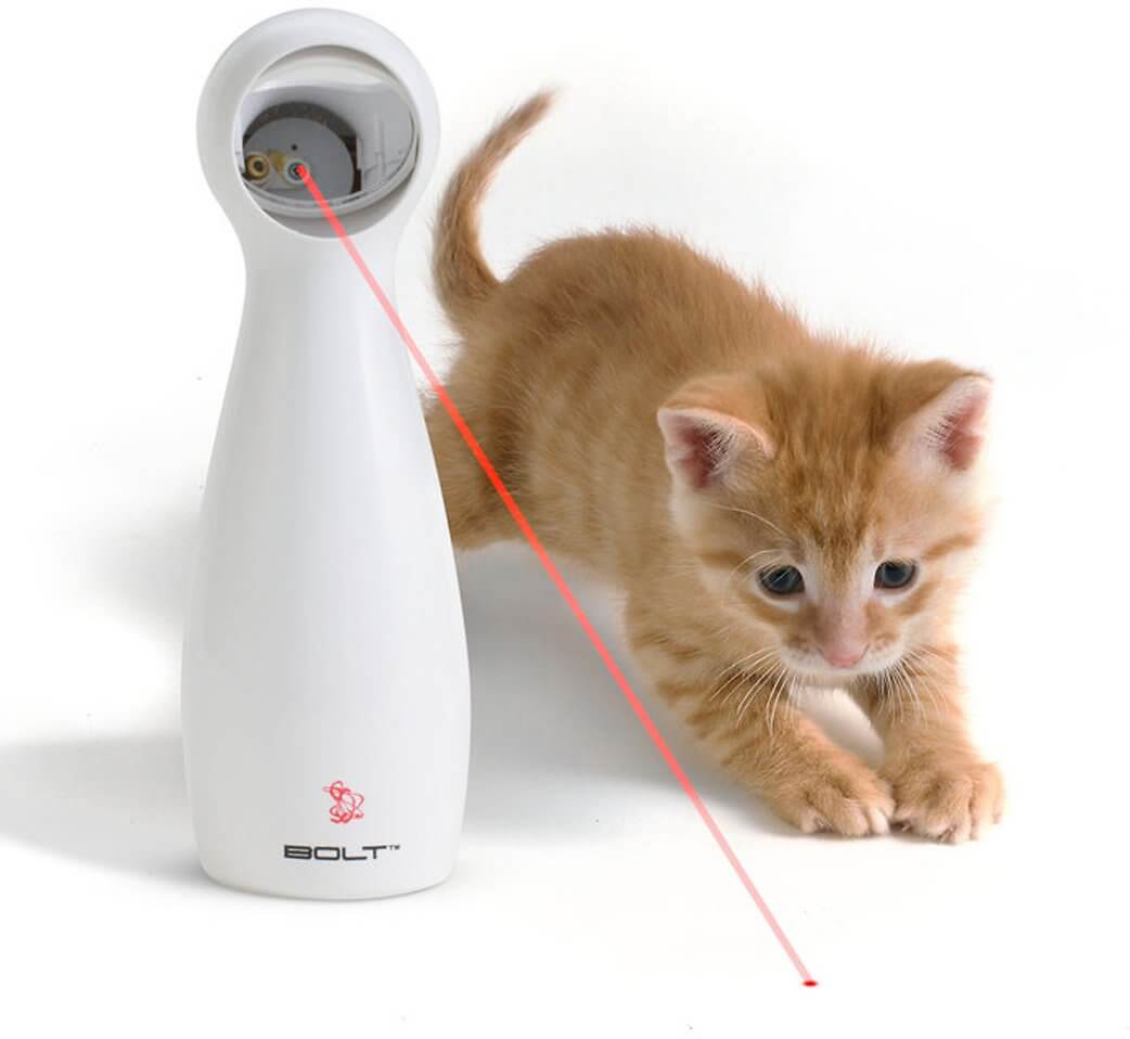 Cat laser pointer