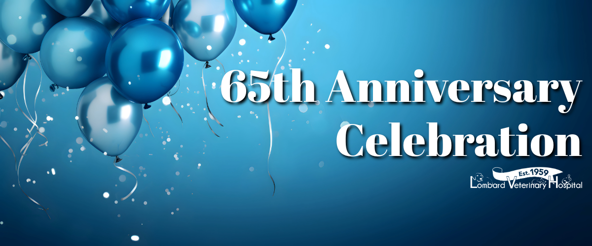 65th Anniversary Celebration 