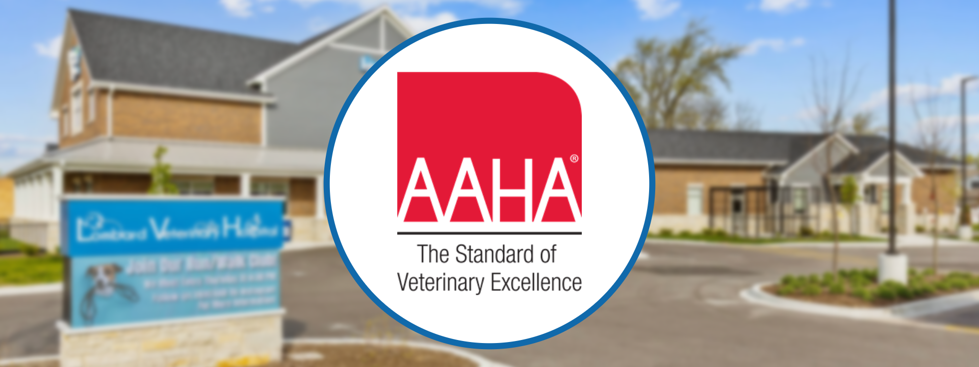 AAHA Accredited Hospital Near You