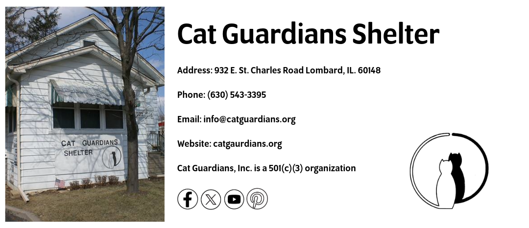 Cat Guardians Location Information
