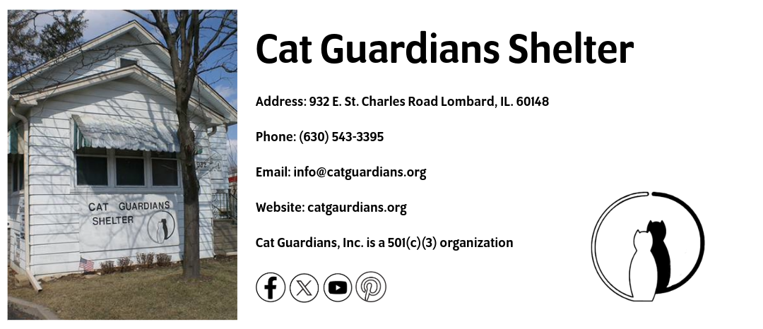 Cat Guardians info