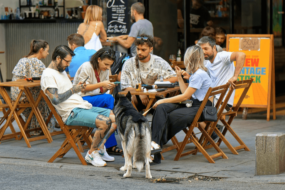 Dog Friendly Restaurants