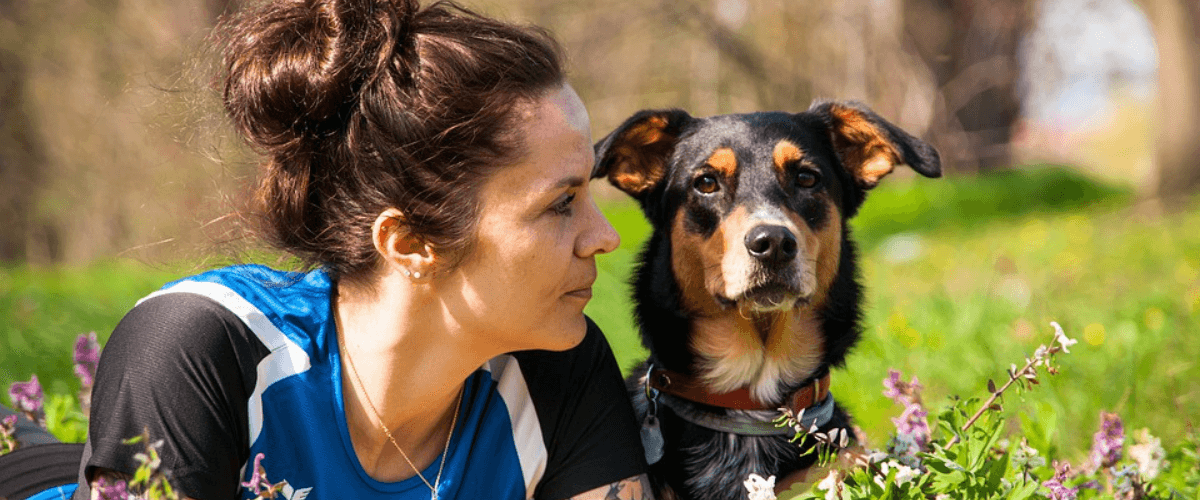 End of life pet services at Lombard Vet