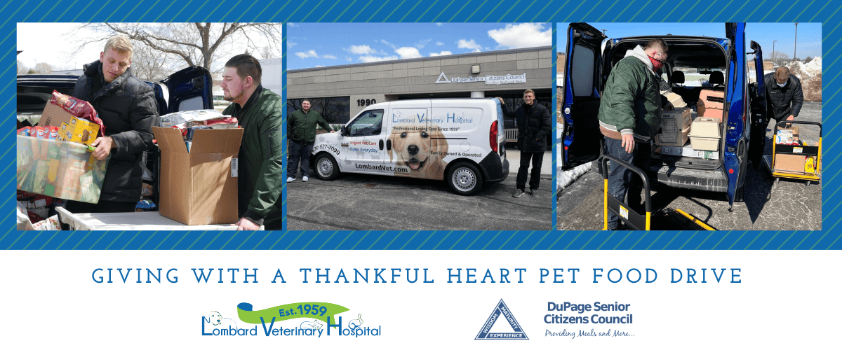 Giving With A Thankful Heart Pet Food Drive