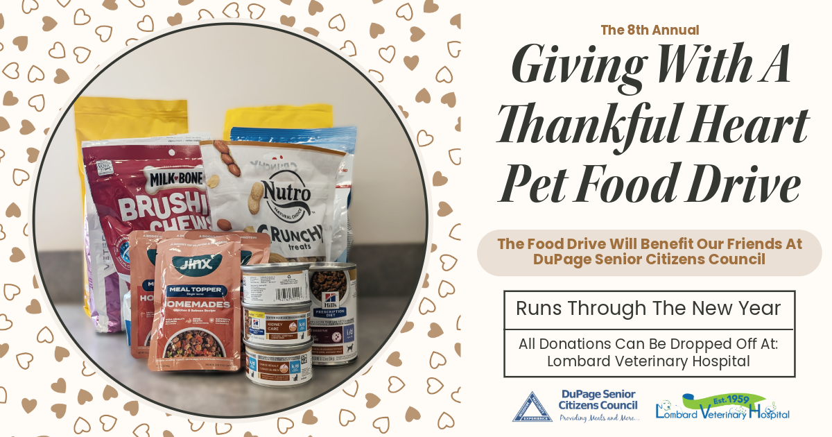 8th Annual Giving With A Thankful Heart Flyer 8th Annual Giving With A Thankful Heart Flyer