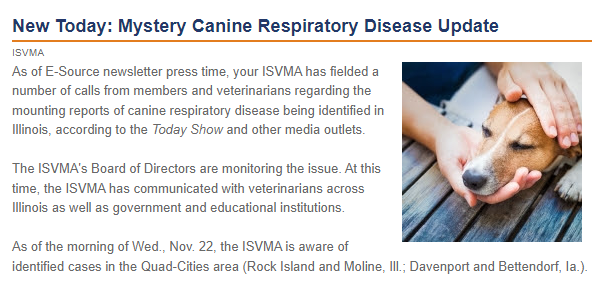 ISVMA Update from November 22nd, 2023
