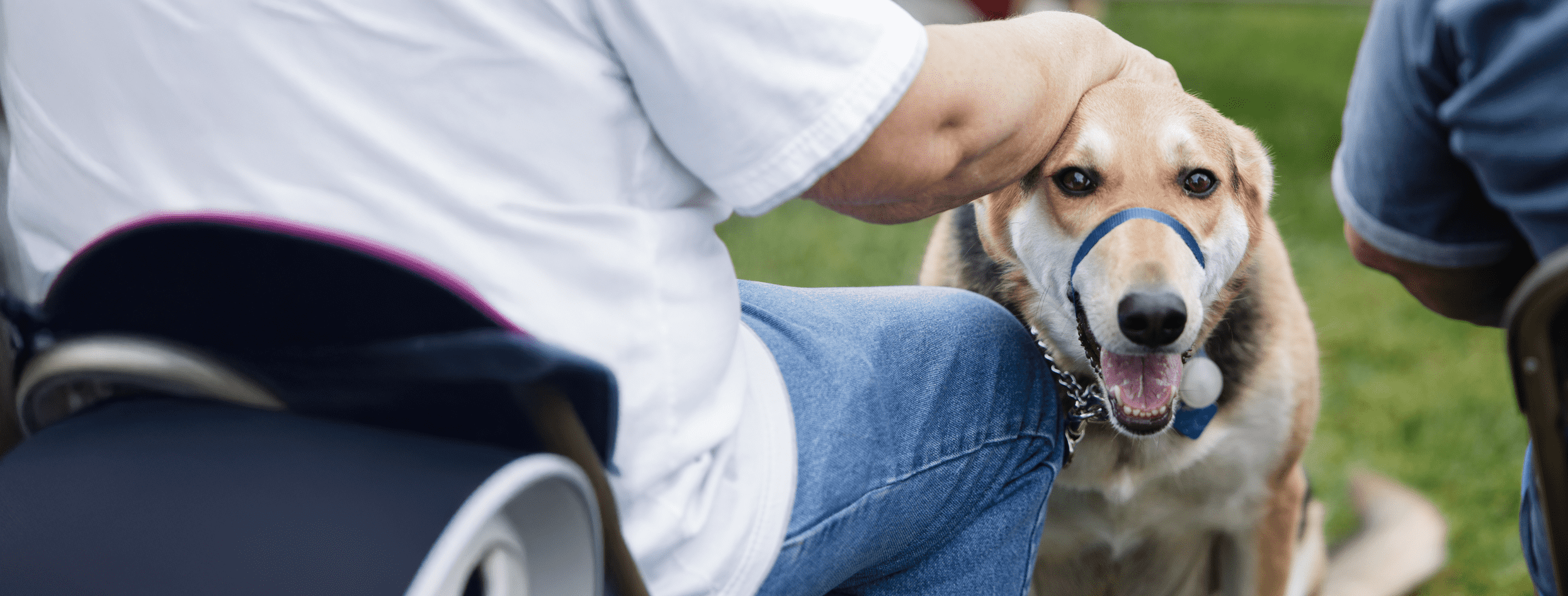 9th Annual Pet Blessing at Lombard Veterinary Hospital