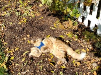 Ragnar enjoys spending time outside