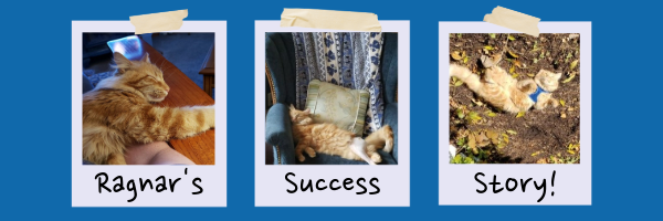 Ragnar's Sucess Story