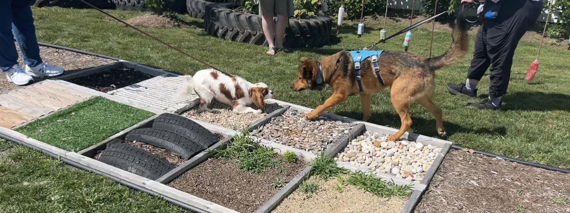 Welcome to the Sensory Garden at Lombard Veterinary Hospital