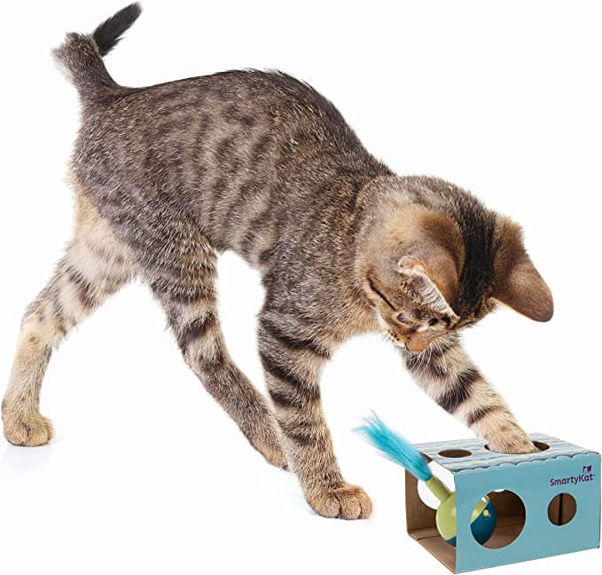 SmartyKat Electronic Motion/Moving Toys for Cats Amazon Product