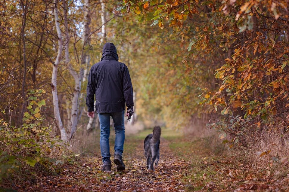 Dog and Owner going for a Walk