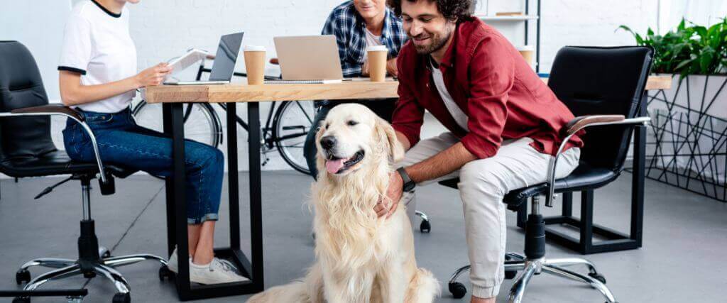 National Take Your Dog to Work Day – An Etiquette Guide to Success