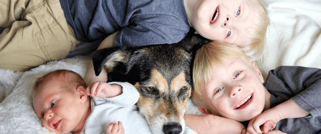 Rainbow Bridge Remembrance Day: How to Prepare Your Kids for Losing a Precious Pet