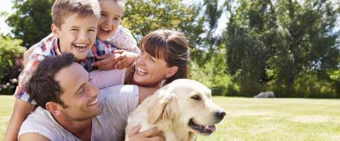 6 Mental Health Benefits of Owning a Dog in Honor of National Dog Day!