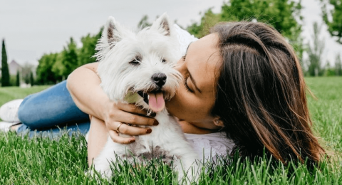 National Dog Mom's Day: 10 Ways to Be the Best Dog Mom Possible