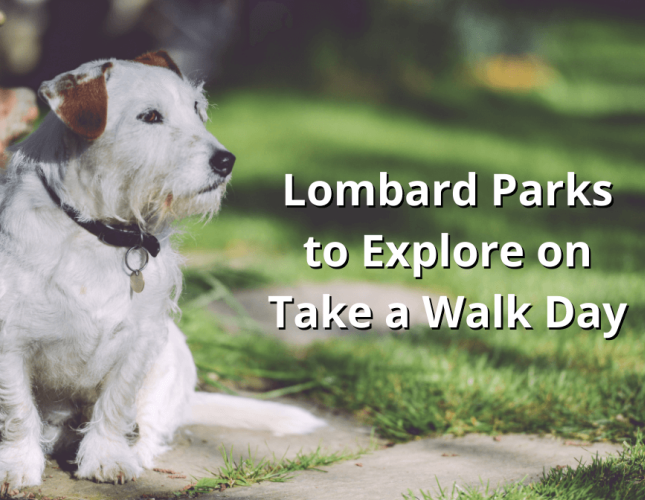 Lombard Parks to Explore on Take a Walk Day