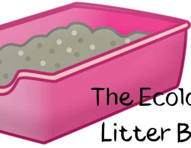 The Ecology of Litter Boxes
