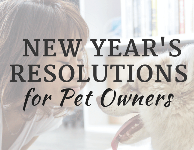 Top New Year&#039;s Resolutions for Pet Owners