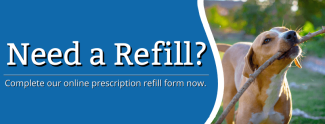 Refill Your Pet's Medications
