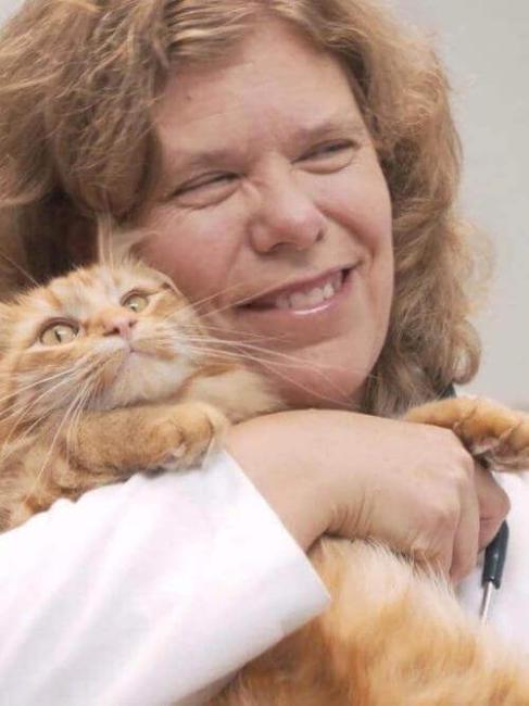 cat vet in lombard