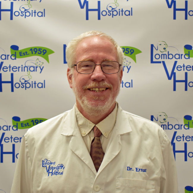 Meet Dr. Ernat