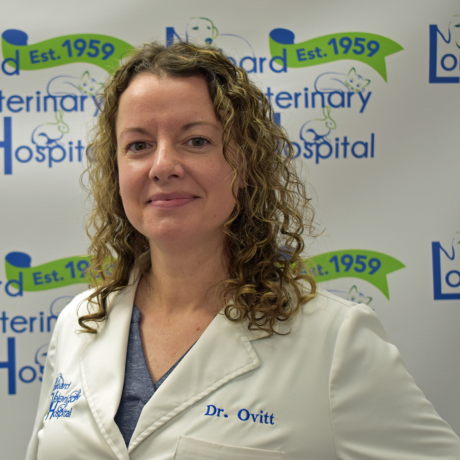 Meet Dr. Ovitt