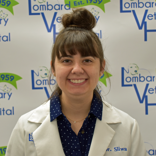Meet Dr. Sliwa