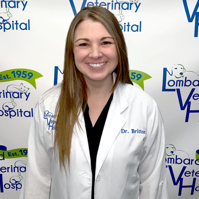Meet Dr. Britton