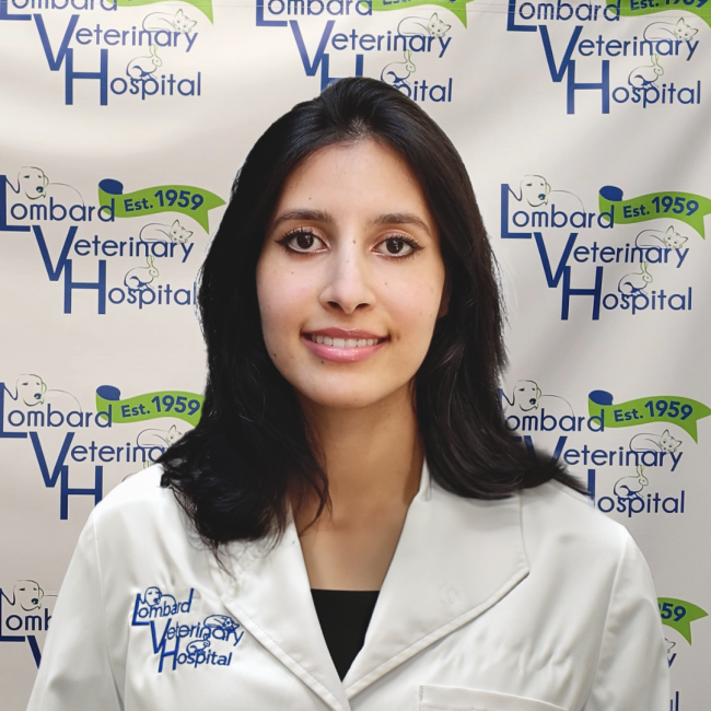 Meet Dr. Rajmaria