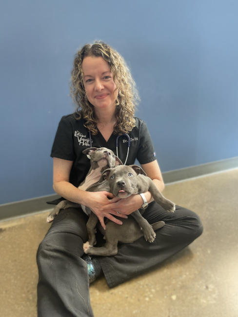 Dr. Ovitt holding two puppies