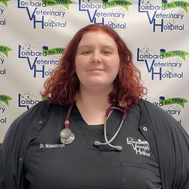 Meet Dr. Walaszczyk