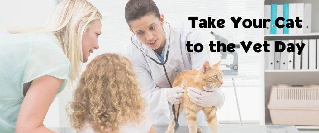 Take Your Cat to the Vet Day
