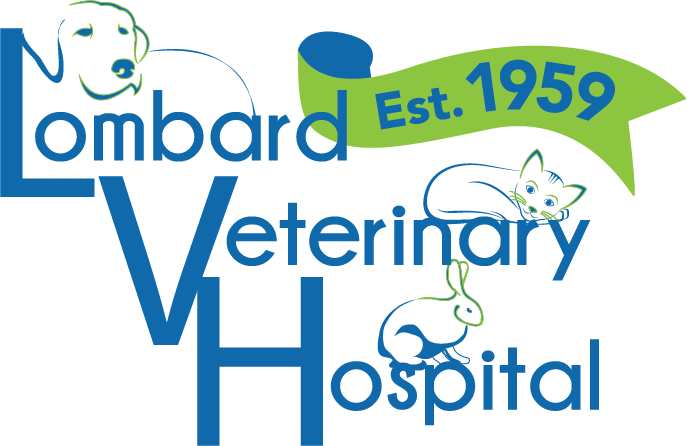 Lombard Veterinary Hospital